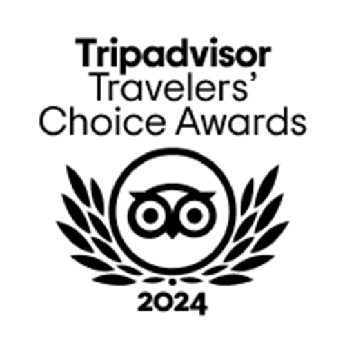 TripAdvisor 2024